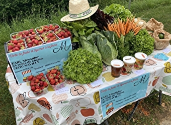 EARL Messidor - NAVILLY