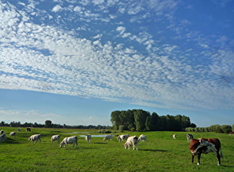 Prairies alluviales  - DAMEREY