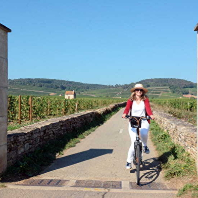 La Bourgogne à Vélo - Location et livraison de vélos