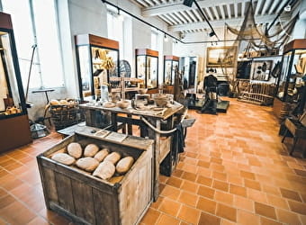 En famille au musée : La Bresse à travers monstres - PIERRE-DE-BRESSE