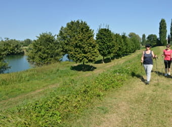 Sentier Saône et Doubs - VERDUN-SUR-LE-DOUBS