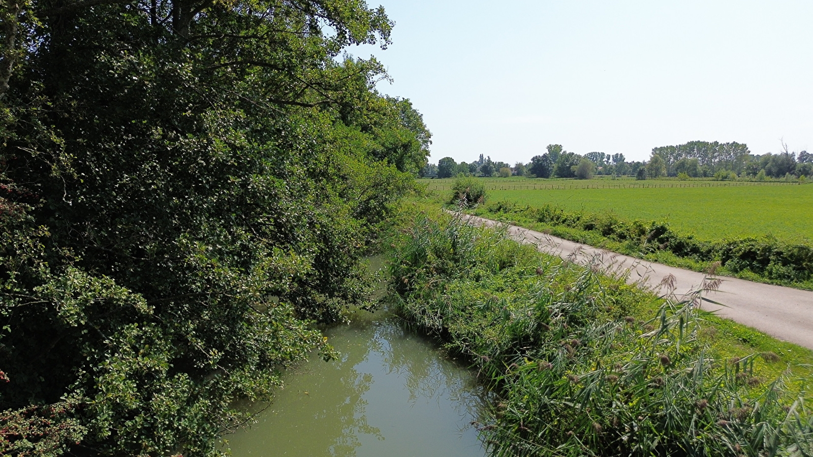 Sentier des hérons
