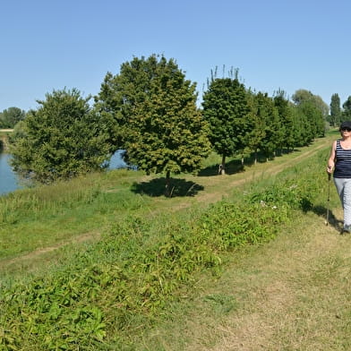 Sentier de la Génevrière