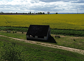 De la forêt communale à la Saône - BEY