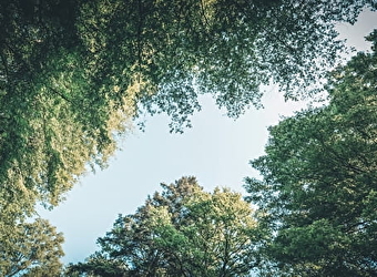 En famille au musée : les lignes de la nature - PIERRE-DE-BRESSE