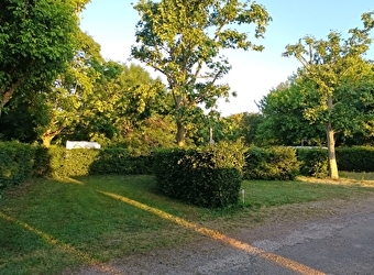 Camping de la Saône - GERGY