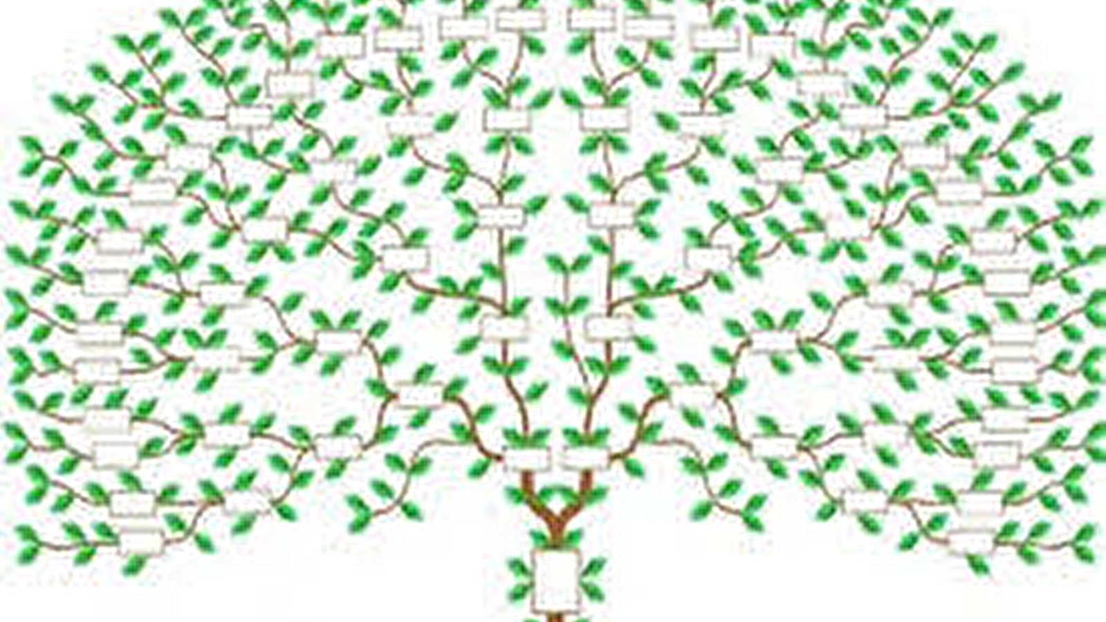 Conférence 'Comprendre la généalogie, à la recherche de nos ancêtres'