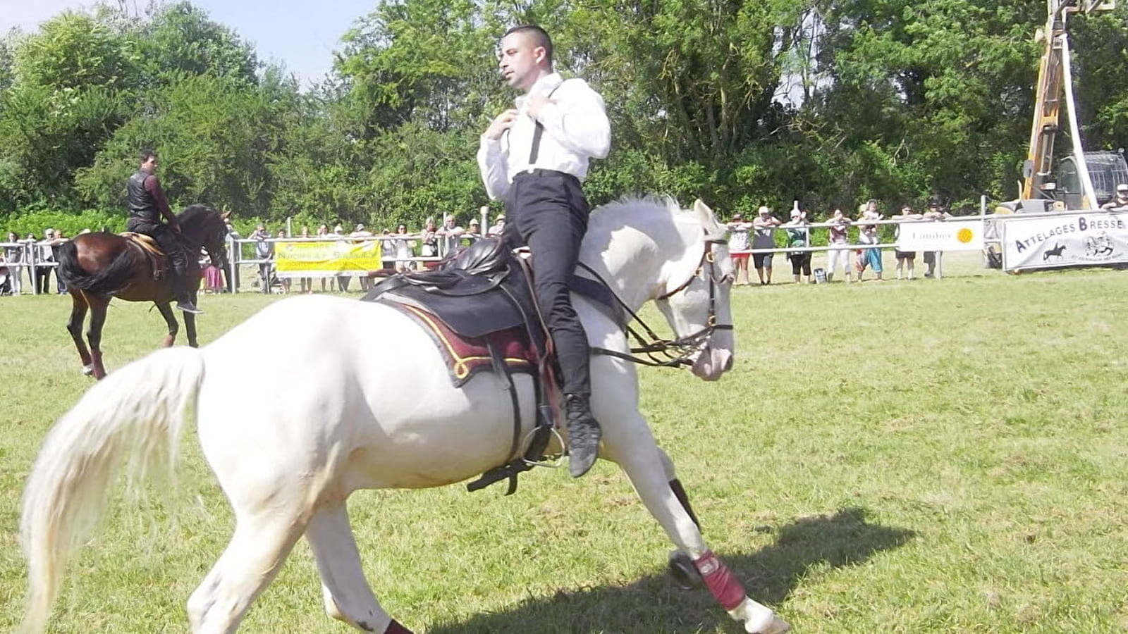Fête du cheval