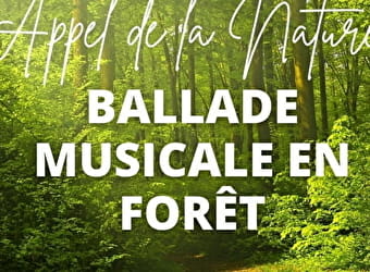 Balade musicale en forêt - BRAGNY-SUR-SAONE